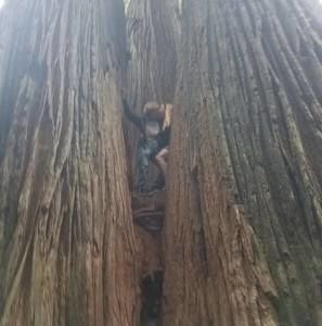 Meet your Posher, Mindy